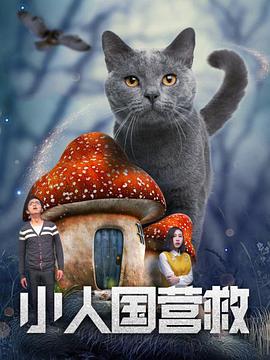成人h在线播放